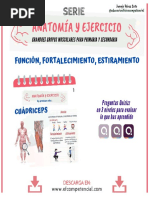 Serie Anatomicc81a y Ejercicio