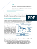 4.3.2.mécanismes de La Contractio1