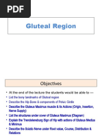 Gluteal Region