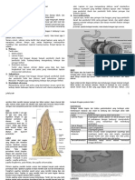 LTM I - Histologi Sistem Gastrointestinal