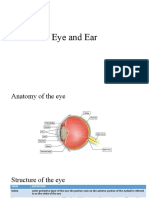 Unit 12,13 Eye and Ear