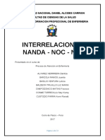 Interrelaciones Nanda - Noc - Nic