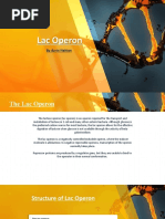 Lac Operon by Azrin Nahian