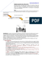 Urología, Conceptos Generales