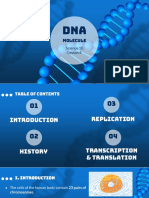 DNA Molecule & Central Dogma