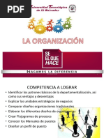 3.3 La Organizacion