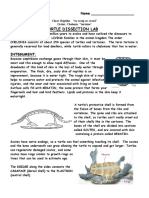 Turtle Dissection PDF