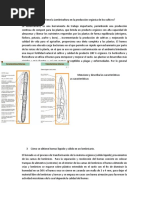 Qué Importancia Tiene La Lombricultura en La Producción Orgánica de Los Cultivos