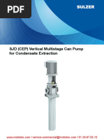 SJD (CEP) Vertical Multistage Can Pump For Condensate Extraction