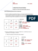 Sex-Linked Traits: Practice Problems: X X X X X Y X Y