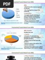 Fermented Food Made From Milk