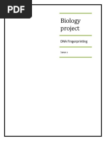 Biology Project: DNA Fingerprinting