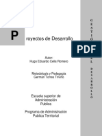 Proyectos - Desarrollo Celis