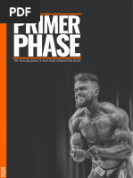 The Primer Phase