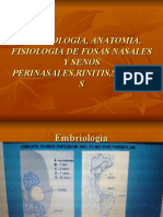 Seminario de Anatomia de Fosas Nasales