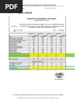 Ensayos Qochas Runtune y Laguna Negra