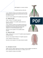 42-50 Tabla de Musculos PT 2