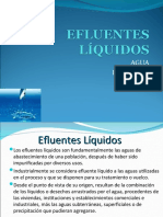 2017 EFLUENTES Liquidos