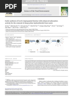 Science of The Total Environment