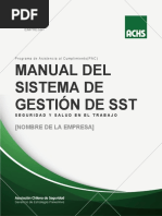 Plantilla Manual SGSST