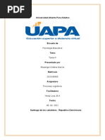 Neuropsicologia Tarea 4