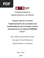 Roberto Palomino - Trabajo de Suficiencia Profesional - Titulo Porfesional - 2020