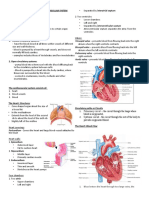 Handout 10 Circulatory System