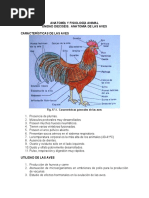 Unidad Diecisiete. Avicultura