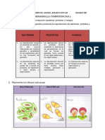 ACTIVIDAD. 2 CIENCIAS MIGUEL AMADO Con Correccion