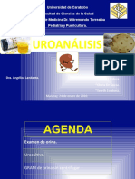 Uroanalisis