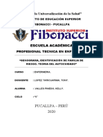 Genograma, Identificacion de Riesgo de Familia y Teoria de Automedicación