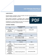 Juan Sebastián Plata Rincon: Labor Profile