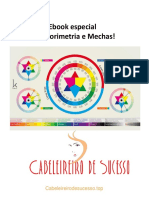 Ebook Workshop Colorimetria Especial Avançado