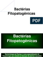 Bactérias Fitopatogênicas