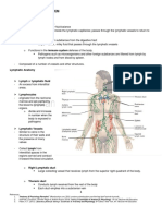 Lymphatic System.