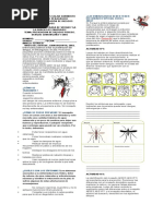 Dengue Zika y Chicunguña