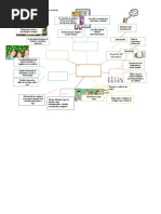 Desarrollo Psicosocial en La Edad Media