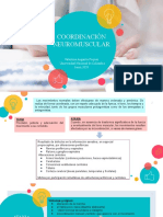 Coordinacion Neuromuscular