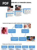 Evaluación de La Función Visual