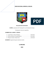 Informe 3 de Fisiología Animal