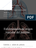 Laura López-Enfermedades de Origen Vascular Del Pulmón