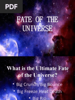 Fate of The Universe