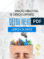 Reprogramação Vibracional - Detox