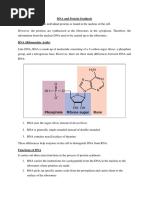 DNA and Protein Synthesis