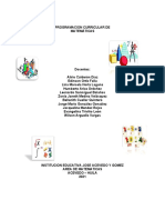 Programacion Curricular de Matematicas Año 2021