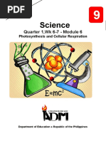 Science9 - q1 - Mod6 - Photosynthesis and Cellular Respiration - v3