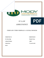 IT Law Assigment