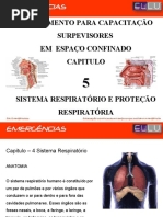 NR 33 Supervisor Espaço Confinado - Sistema Respiratorio