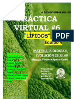 Práctica 9. Fotosíntesis