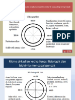 Gambar Ritme Sirkadian-1